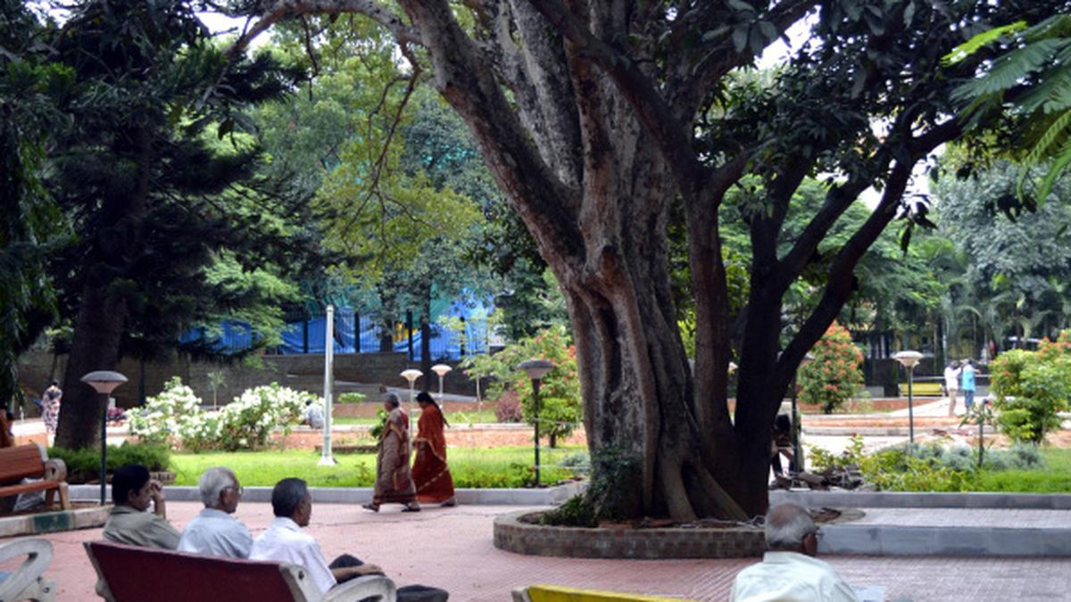 Kumara Park Traces of times past The Hindu