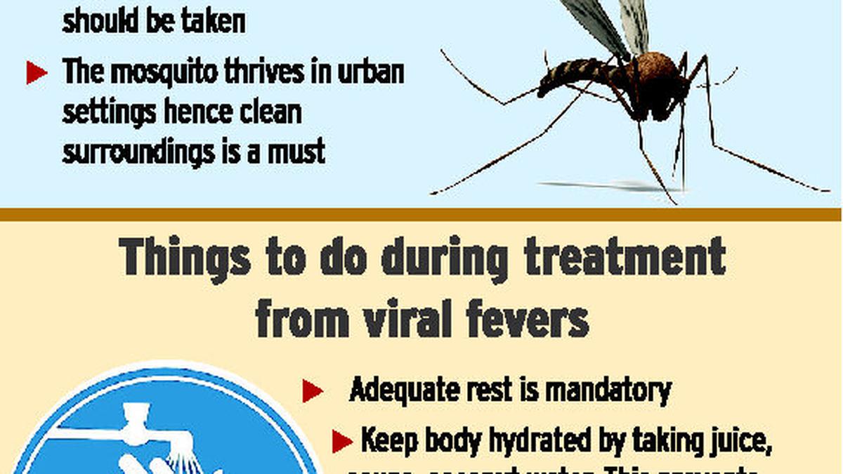 Dengue fevers hit Hyderabad again - The Hindu