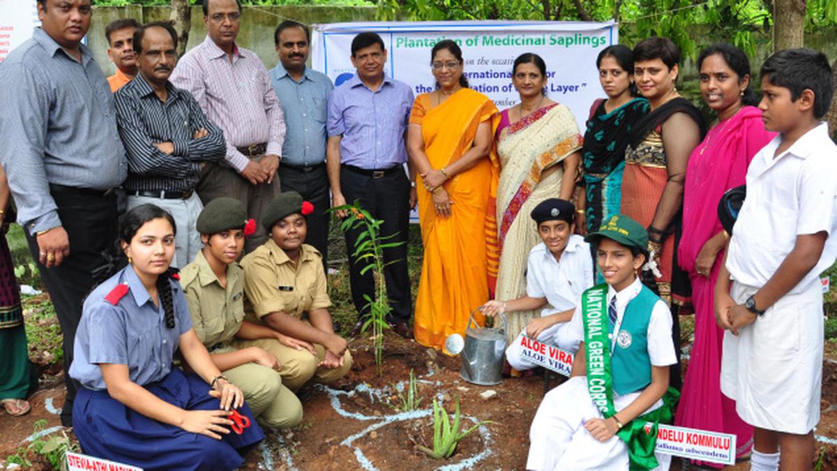 Plantation drive at Visakha Valley School - The Hindu