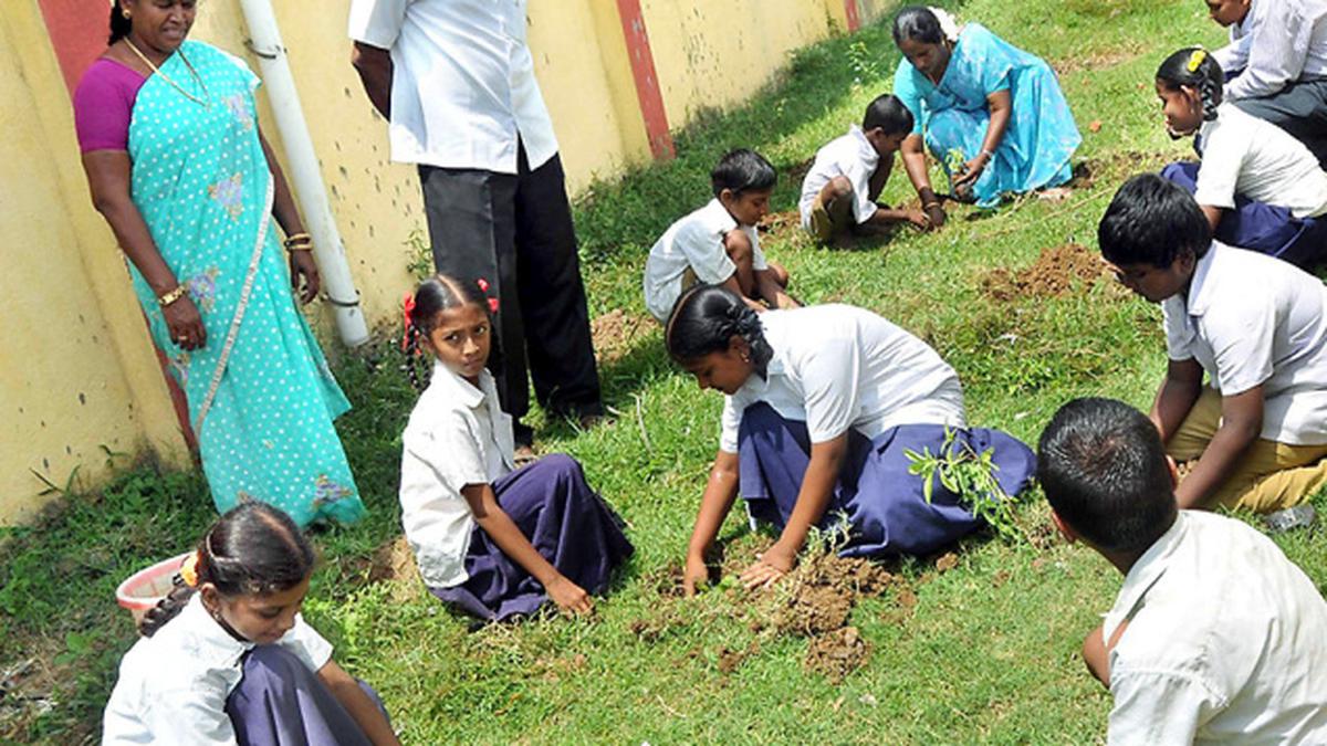 Attempt to restore endangered species of herbs - The Hindu