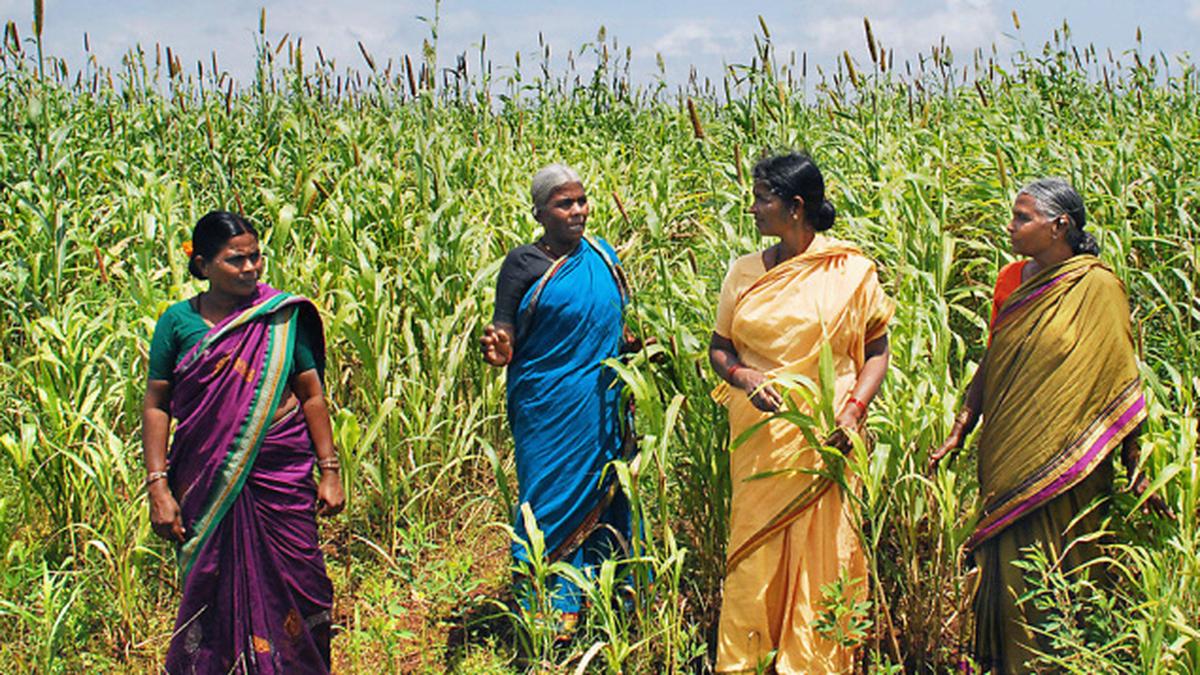 39 villages fight for BHS status The Hindu