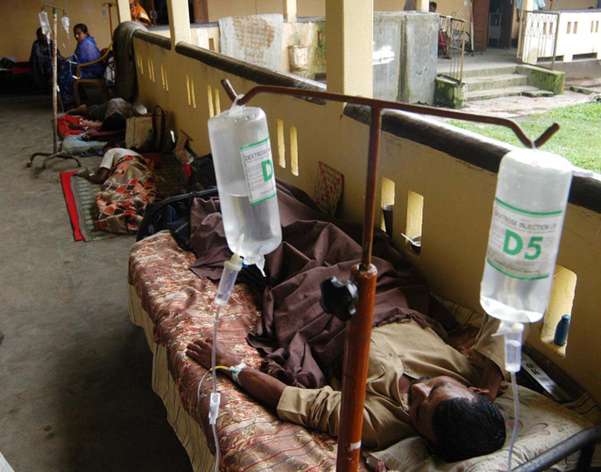 How sickle cell gene protects against malaria The Hindu