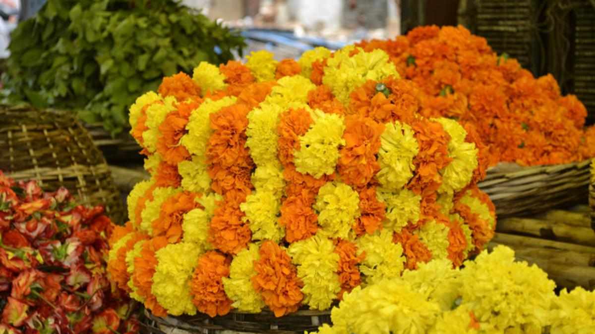 business-with-blooms-the-hindu