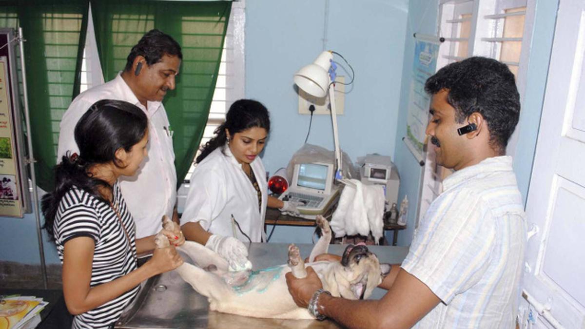 Mangalore veterinary hospital goes hitech The Hindu