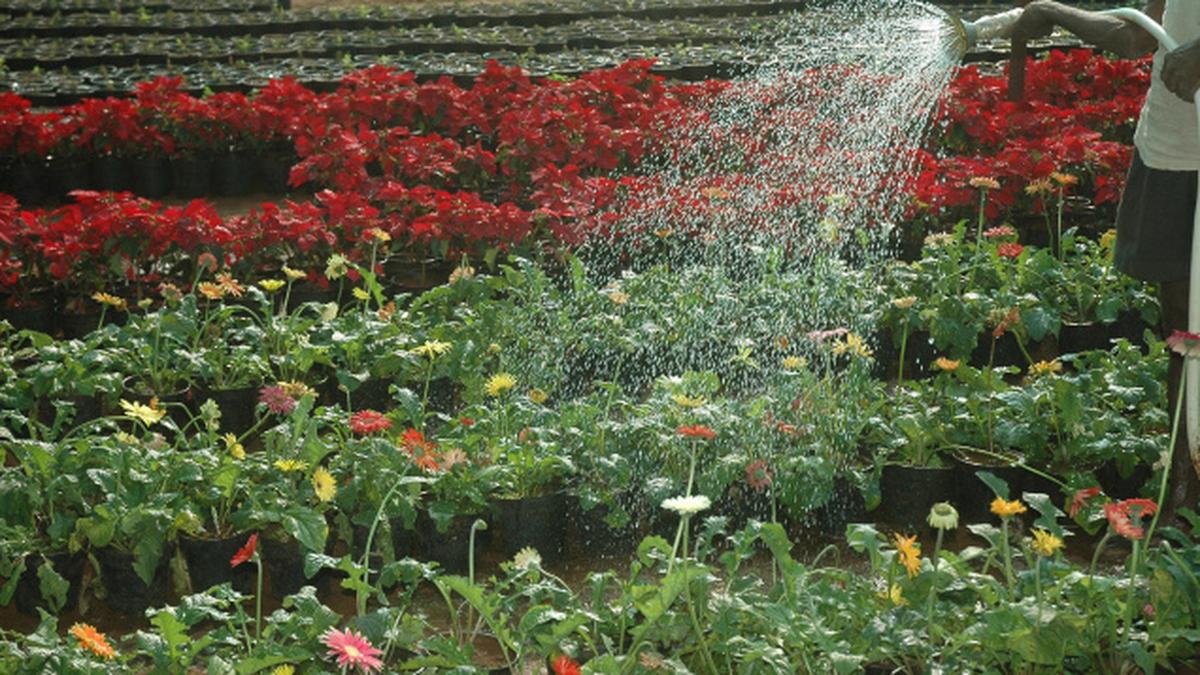 Time to do some spade work The Hindu