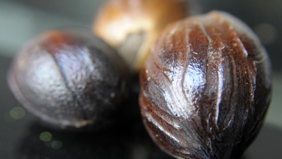 Nutmeg farmers make merry The Hindu