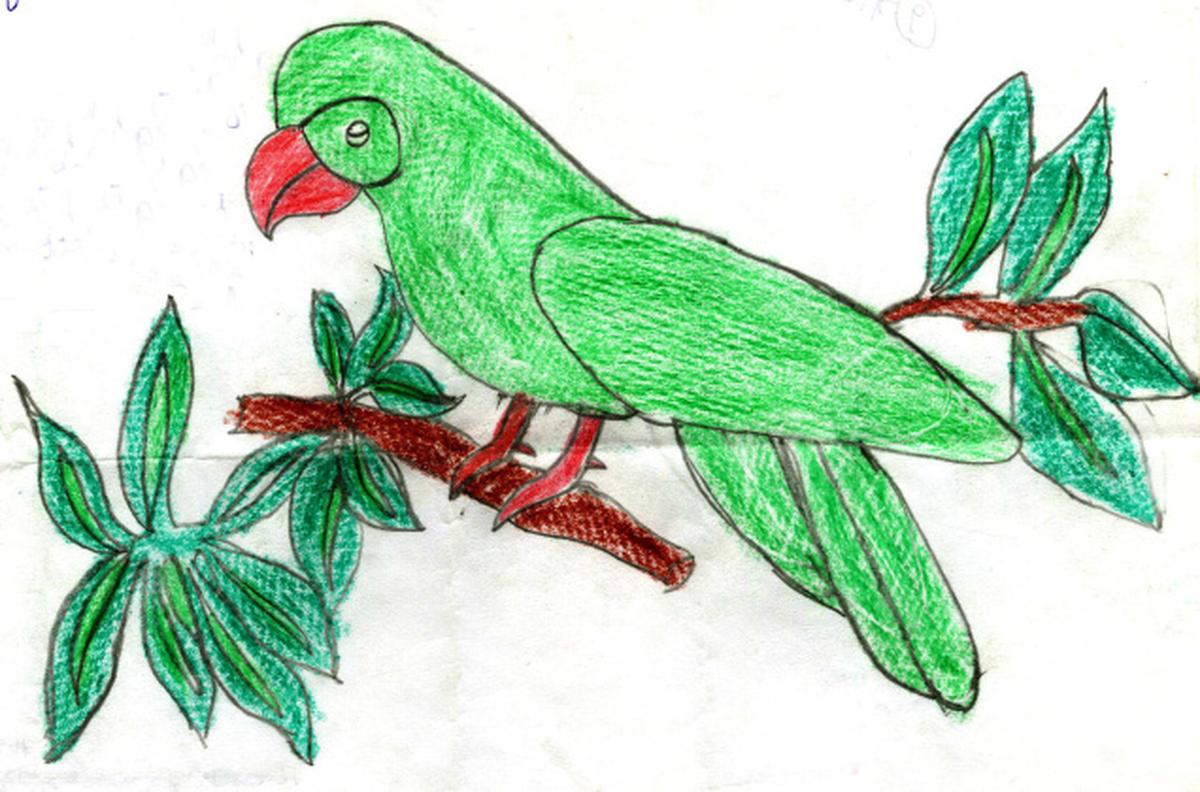 Paintings from North Kannada The Hindu