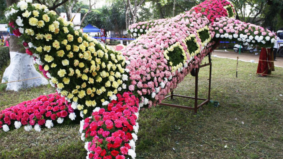 Covai Flower show The Hindu