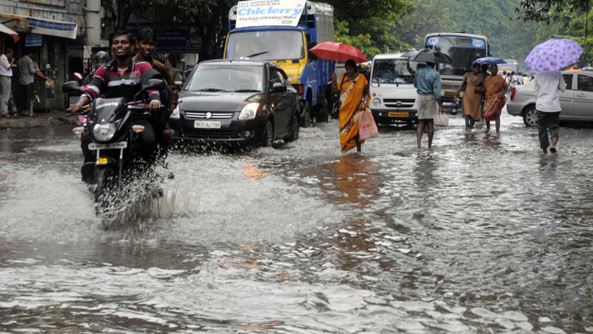 Heavy Rains Continue To Lash Tamil Nadu The Hindu 