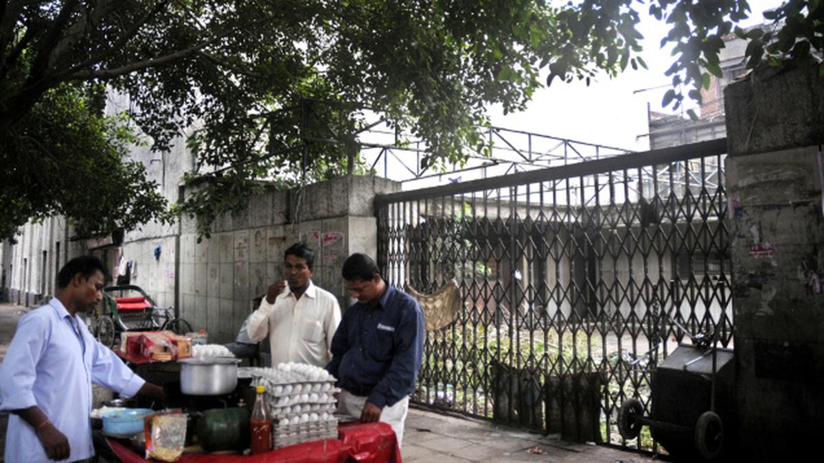 That element of Novelty The Hindu