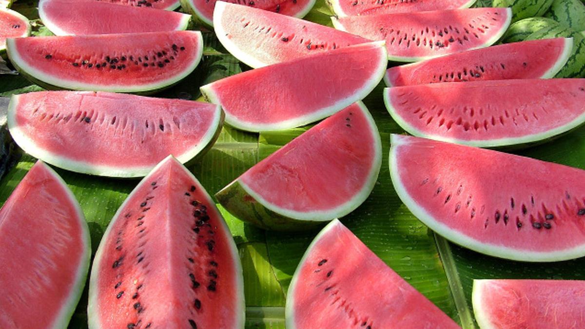 Melon melange The Hindu