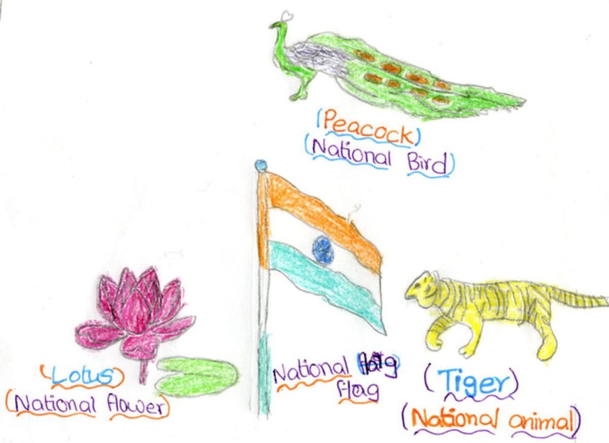 Drawing competition on National Symbols & Aquatic Life - St Mary's English  Higher Primary School , Falnir, Mangaluru