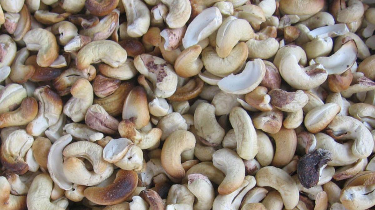 Oats, nuts can help reduce cholesterol Study The Hindu