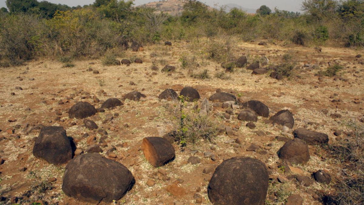 Iron Age Burial Site Found Near Tiruvannamalai The Hindu 1953