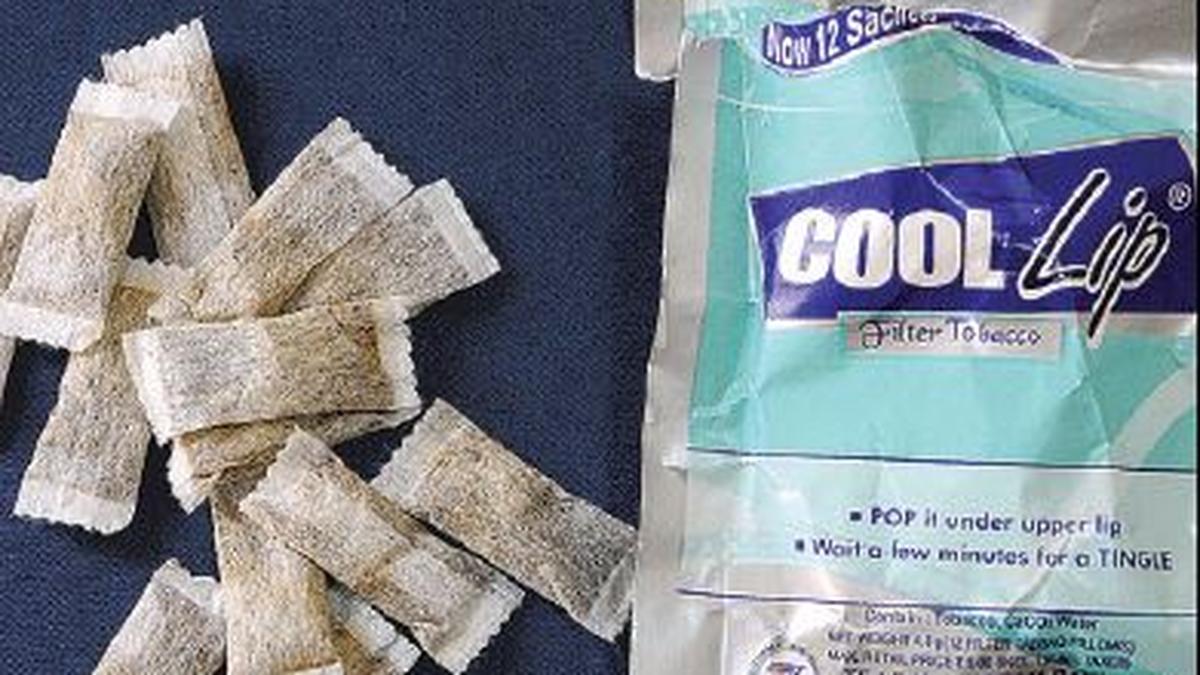 cool lip tobacco Intoxicants sold near Chennai govt. schools
