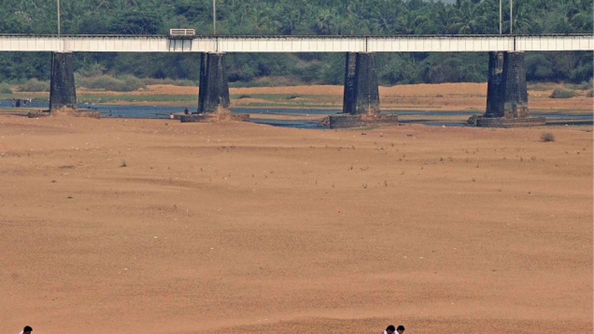 Palakkad in the grip of water scarcity The Hindu