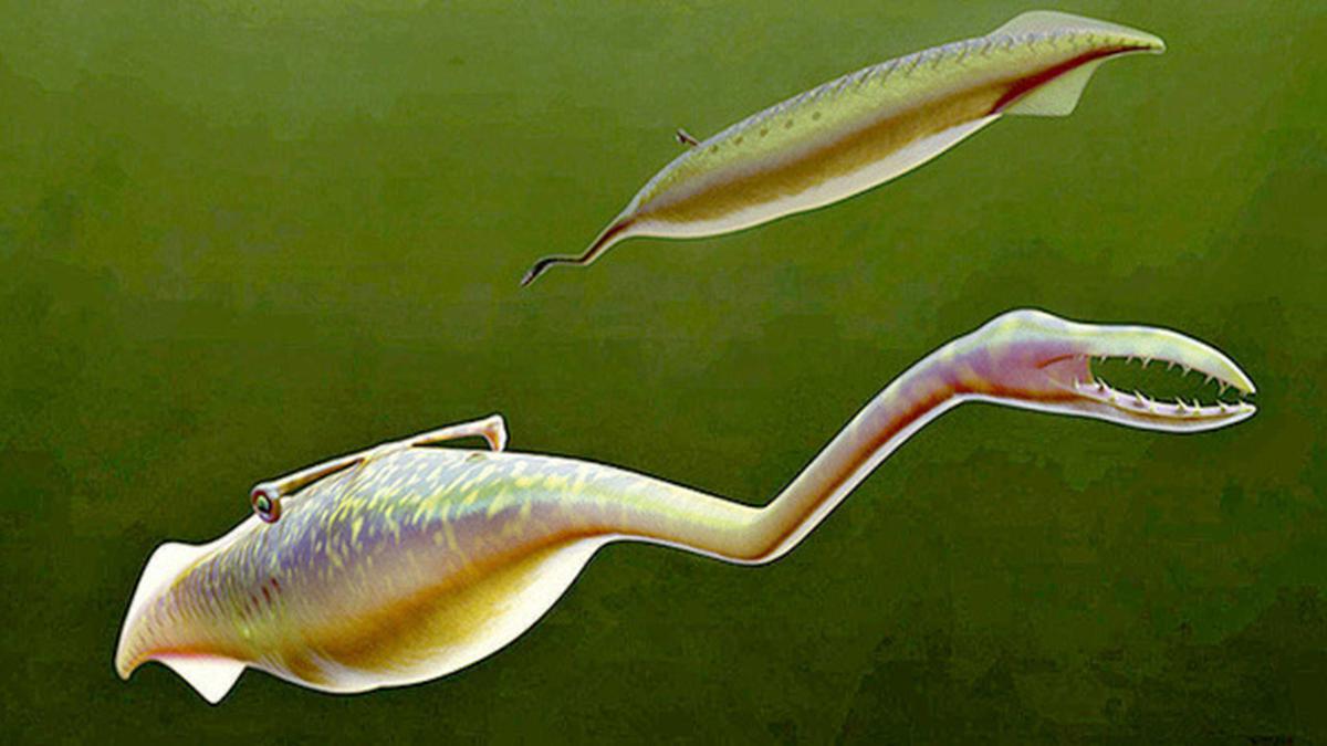 What is the Tully monster?