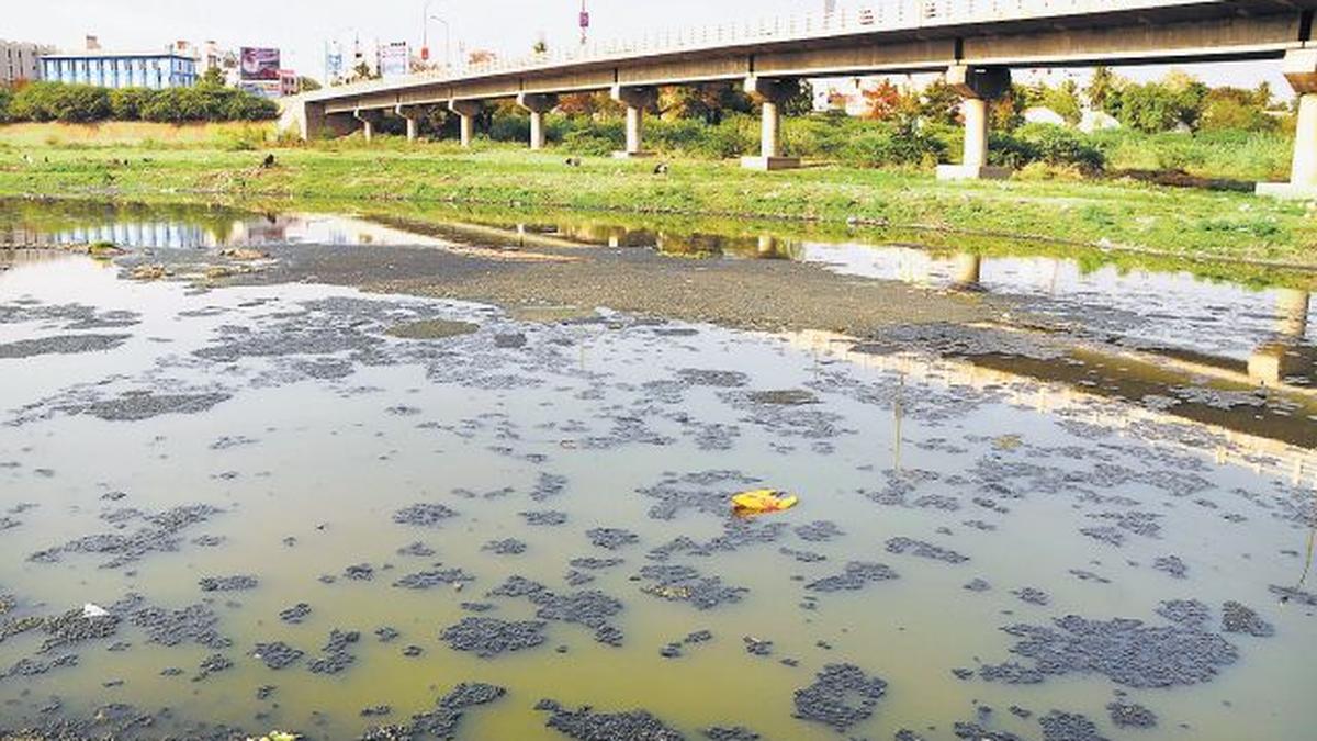 What all spoil water that Madurai drinks The Hindu