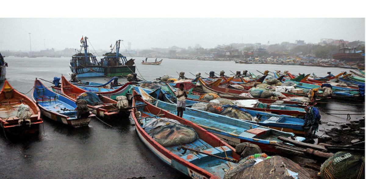Govt to help fishermen buy trawlers, explore deep seas - The Hindu