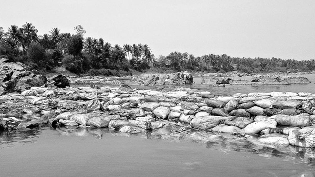 Temporary bridge across the Kabini riles conservationists - The Hindu