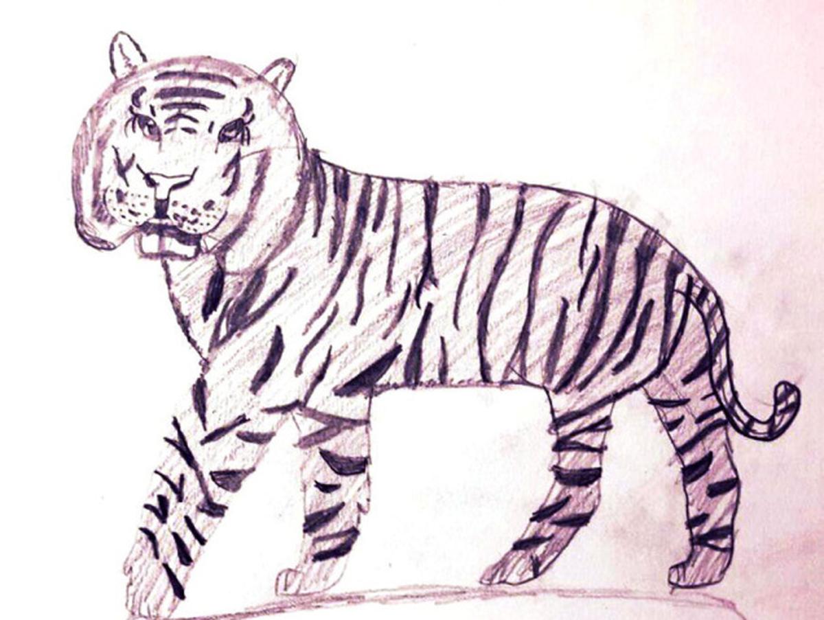 Drawings from India - The Hindu