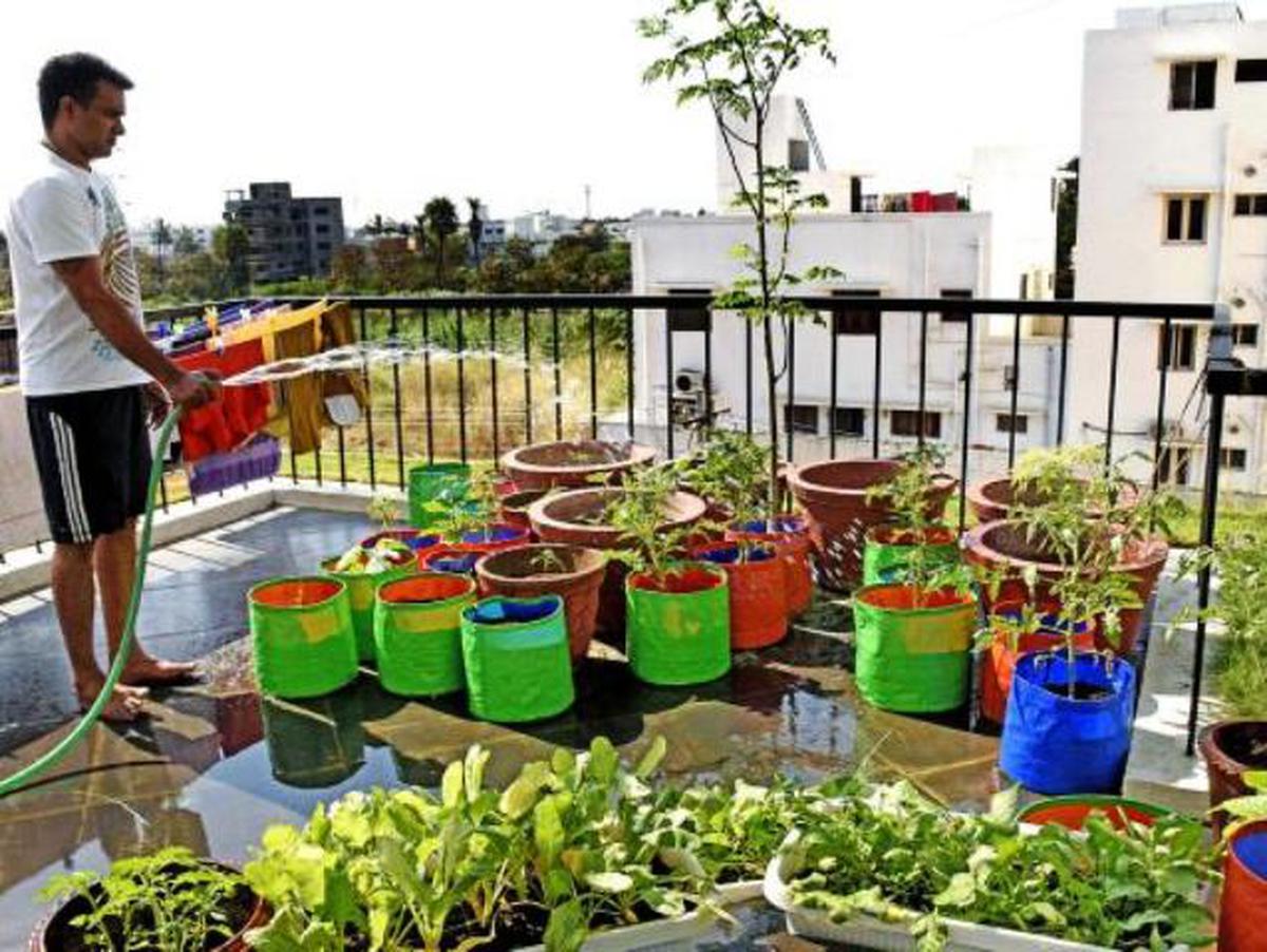 telangana horticulture terrace garden kit