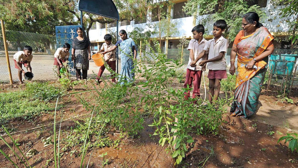 Herbal gardens established in schools The Hindu