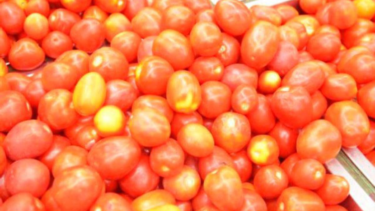 Scientists investigating spermboosting nutrient The Hindu