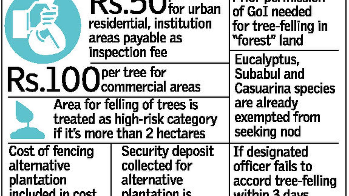 Telangana simplifies NoC process for treefelling The Hindu