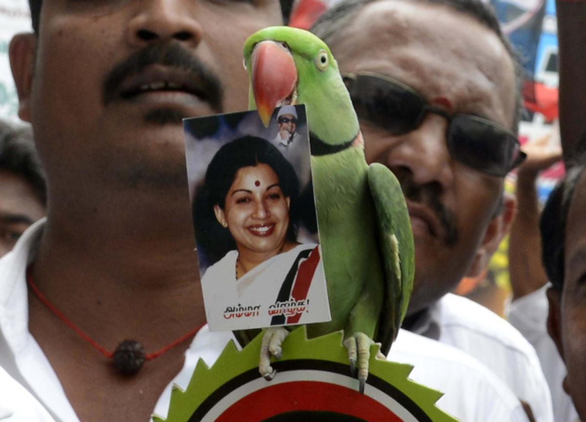 Jayalalithaa: a political career with sharp rises and steep falls - The  Hindu
