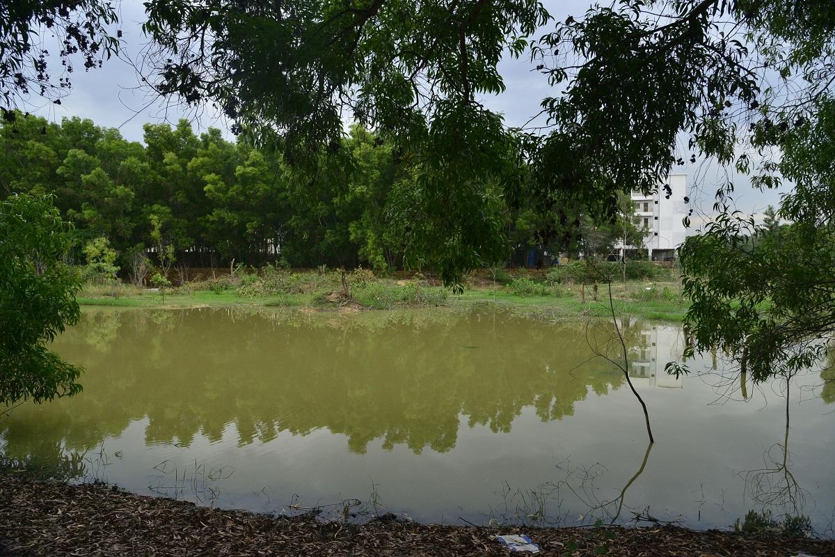 'This lake is fed by dirty laundry water' - The Hindu