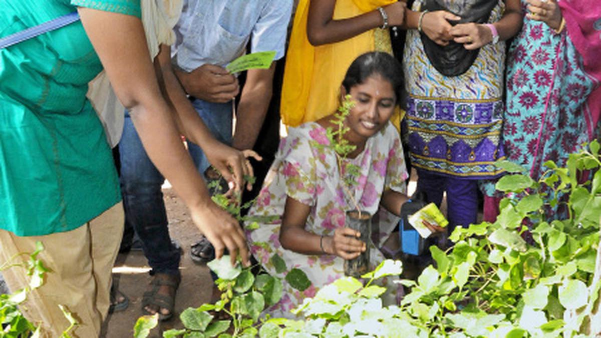 Awareness Programmes Sapling Distribution On World Environment Day The Hindu