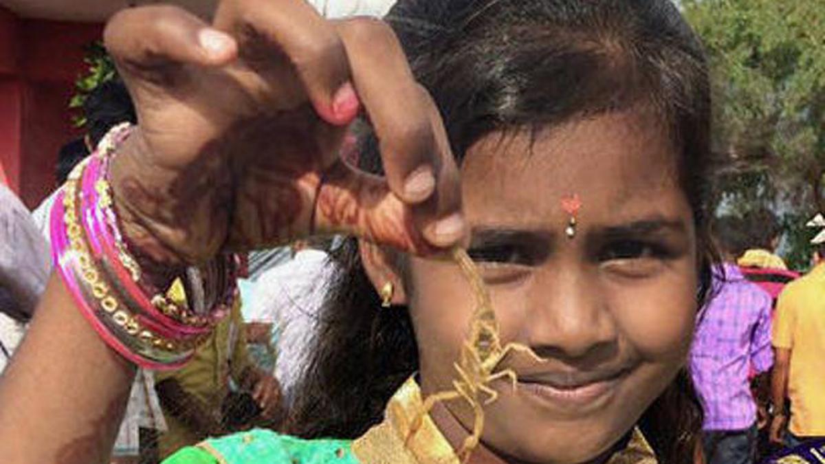No stings in this tale of celebrating scorpions - The Hindu