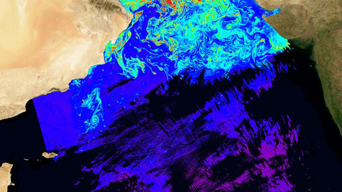 IIT Madras develops optical system to detect and monitor algal bloom