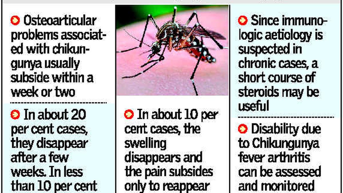 Rain Causes Flood Of Dengue, Chikungunya Cases In Capital - The Hindu