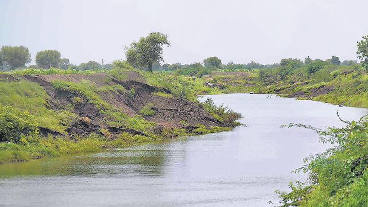 Latur’s rivers get a new lease of life - The Hindu