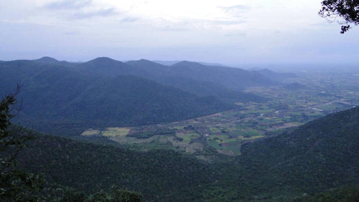 pachamalai eco tourism