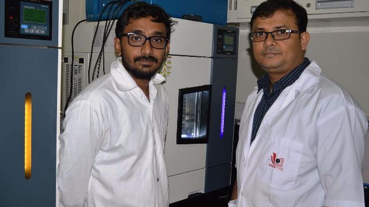 Novel materials to make fuel cells cheaper, more efficient The Hindu