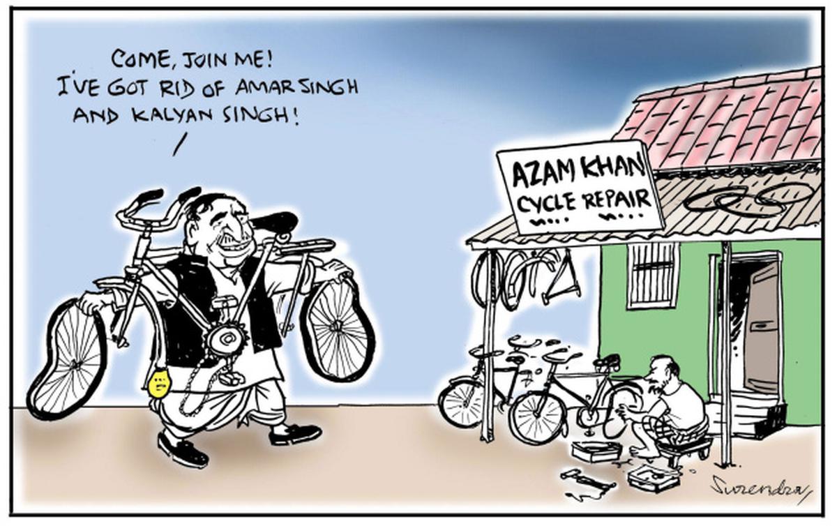 Cartoonscape, November 8, 2010 - The Hindu