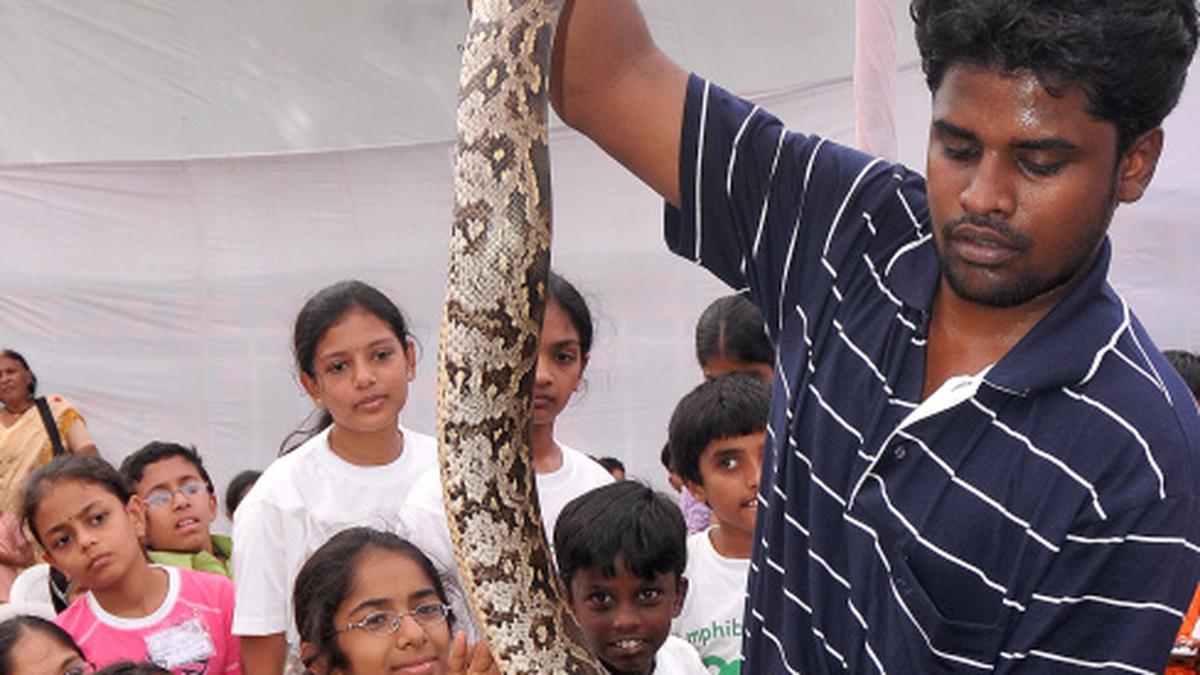 Save the snakes The Hindu