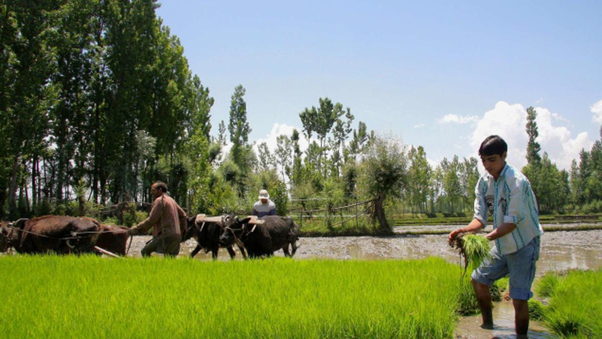 Budgam district to mega city in J&K The Hindu