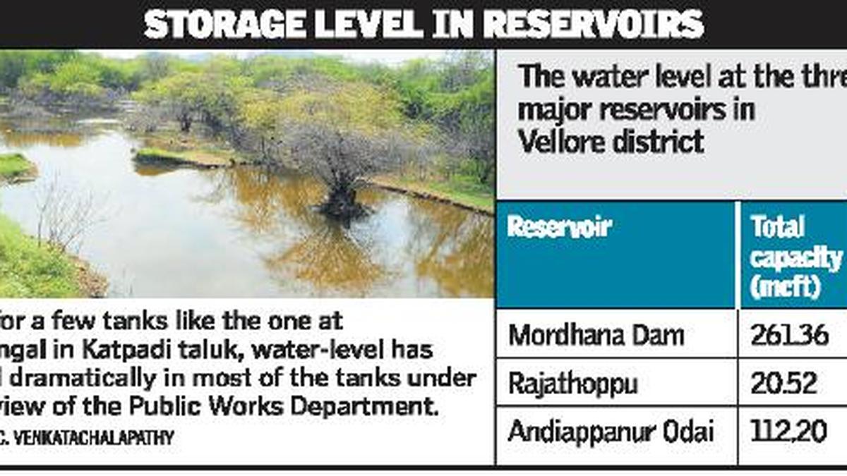Vellore district staring at severe water scarcity The Hindu