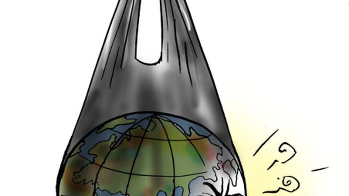 Plastics are forever, illeffects too The Hindu