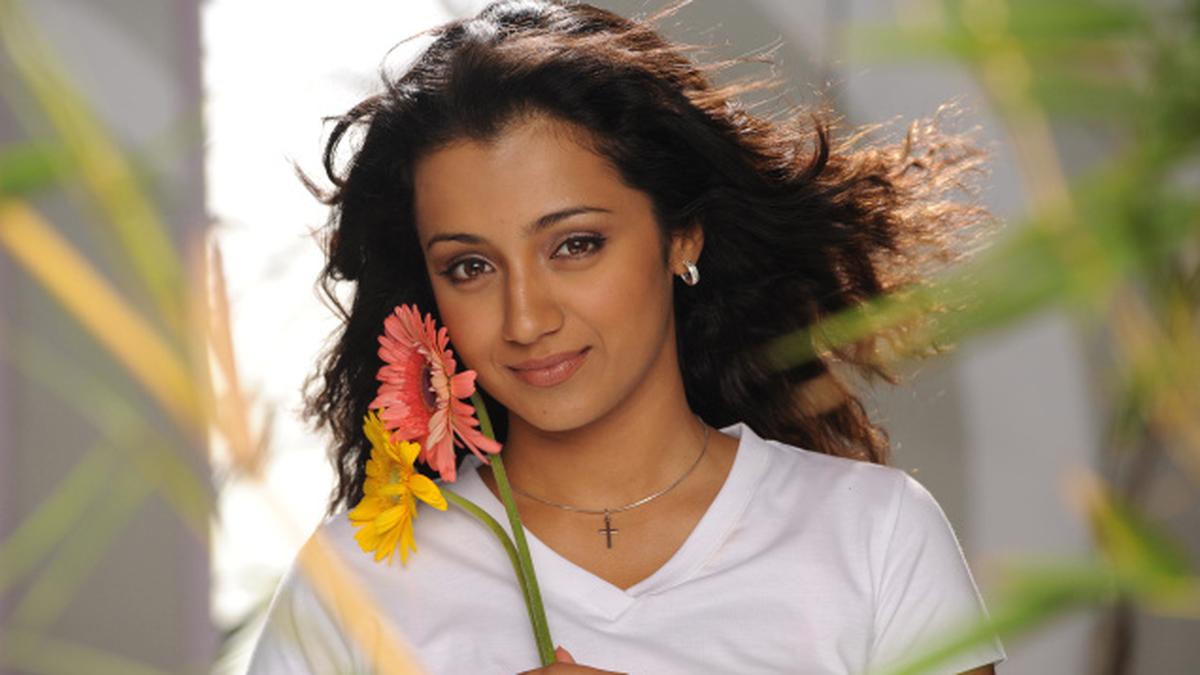 Trisha Announces Engagement The Hindu