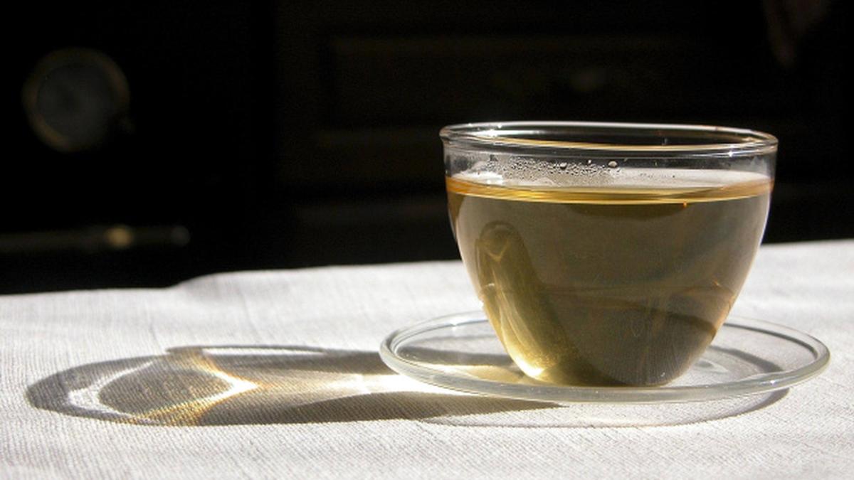 Green tea may help fight The Hindu