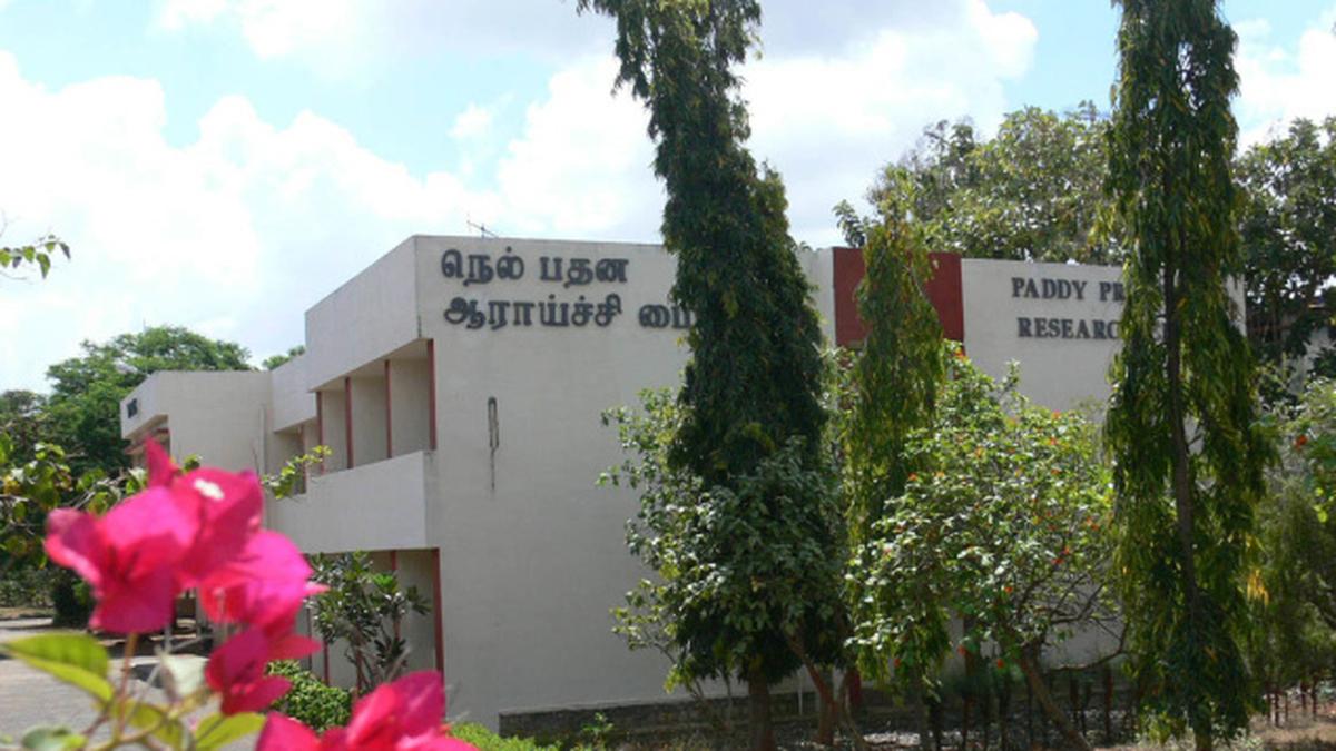 Transforming a rice bowl into a food processing hub The Hindu