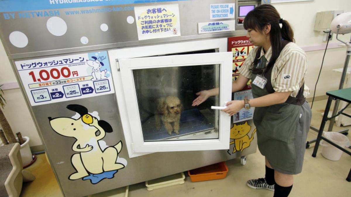 A washing machine for canines! The Hindu