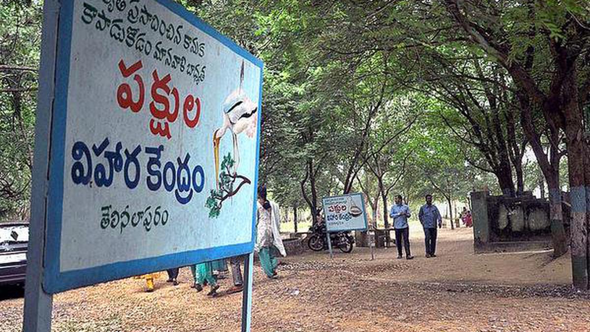 Srikakulam picnic spots lose sheen - The Hindu