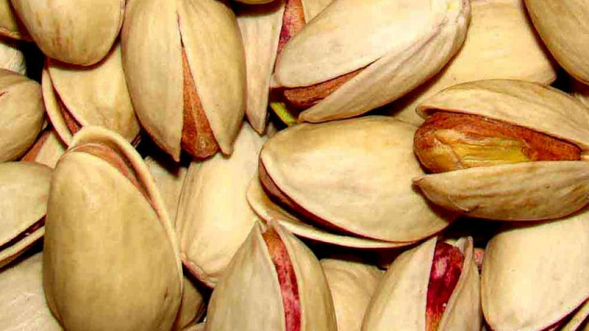 Discover the power of pistachios The Hindu
