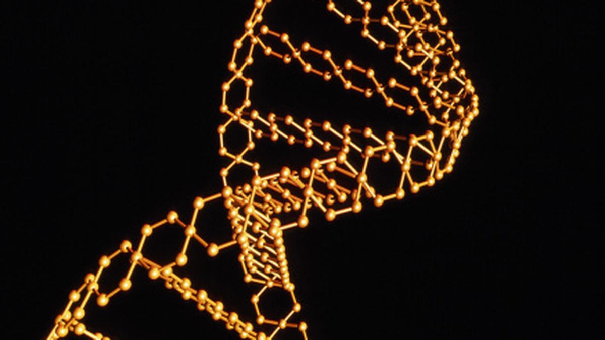 DNA sequencing made faster The Hindu